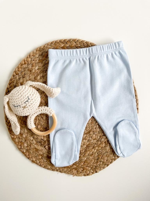 Ranita Basica | Celeste