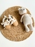 Botitas con piel | Beige - comprar online