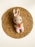 Conejito Carrot | Rosa en internet
