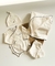 Linea Puntille | Box Nacimiento - Tutu´s Babies and Home 