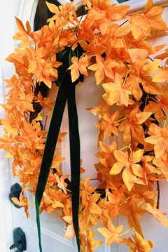 “ORANGE MAPLE” en internet