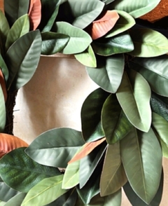 “MAGNOLIA” en internet