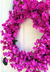 “Magenta” - adoorable