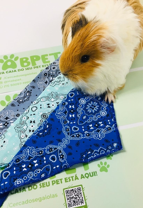 Bandana Para Porquinho da Índia Com 03 Peças