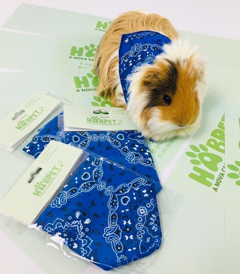 Bandana Para Porquinho da índia, Lenço Para Pet
