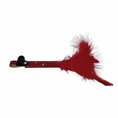 Pluma Love Roja Largo Total 25 Cm.