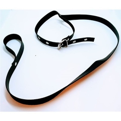 Collar Negro con Correa en internet