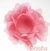 KIT FORMINHAS - MODELO LAURA - 100 UNIDADES - comprar online