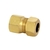 Adaptador Dako Fêmea - comprar online