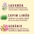Sinergia Plenitude - comprar online
