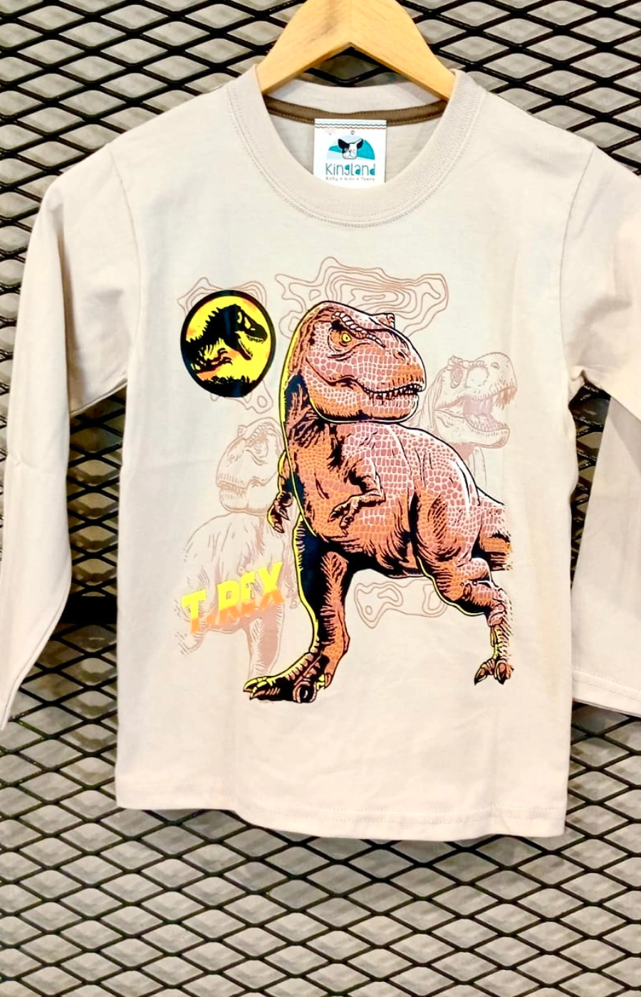 Remera Manga Larga DInosaurio (R103)