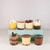Box Mini Shots Dulces Fava en internet