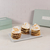 Rogel Mediano Fava
