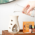 Aceite Palo Santo