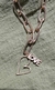 Collar Gold Variety