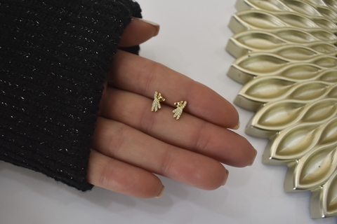 pasante osito dorado