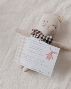 GATITO APEGO + CERTIFICADO DE ADOPCION - comprar online
