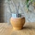 Mate algarrobo imperial en internet