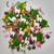 Sprinkles Cactus II