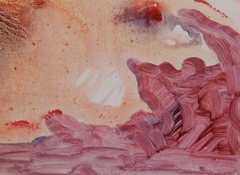 Pleura 1