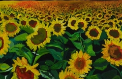 Campo de girasoles - comprar online