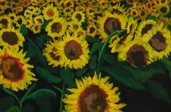 Campo de girasoles - tienda online