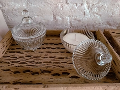 Vela alba