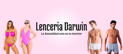 Carrusel Lenceria Darwin