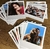 Polaroid - comprar online