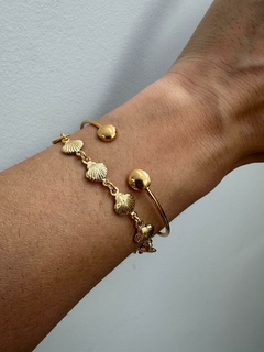 PULSEIRA CONCHA