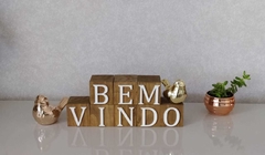 Cubo Bem Vindo - comprar online