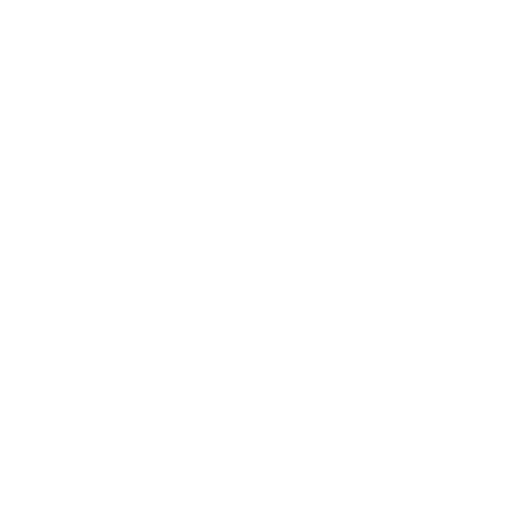 SLN - Moda Feminina