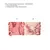 Charlotte Tilbury Mini Hollywood Blush & Glow Palette - comprar online