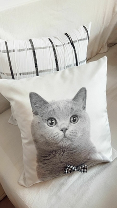 ALMOHADON FAMILY GATO GRIS