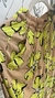 pantalon flores en internet
