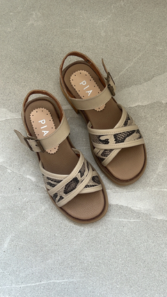 Analia nude/reptil