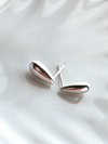 Gota