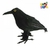 CUERVO DE PLUMAS 12x17x7cm - comprar online