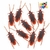 SET CUCARACHAS x 12un.
