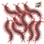 SET CIEMPIES x 12un. - comprar online