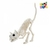 ESQUELETO DE GATO - comprar online