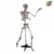 ESQUELETO DE CIENCIA 150x38x16cm - comprar online