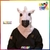 ANIMOV CABALLO