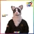 ANIMOV GATO