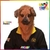 ANIMOV PERRO