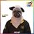 ANIMOV PUG