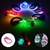 TALONERA LED