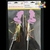 VARITA SIRENA GLITTER - comprar online