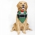 PAÑUELO PARA MASCOTAS ELFO DOG05