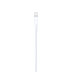 Cabo Lightning para USB - comprar online